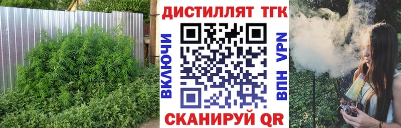 ТГК гашишное масло  купить наркотики цена  Луга 